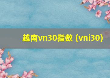 越南vn30指数 (vni30)